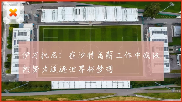 伊万托尼：在沙特高薪工作中我依然努力追逐世界杯梦想