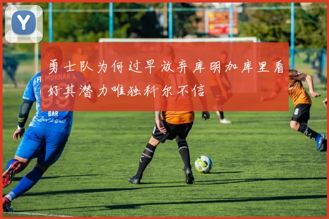 勇士队为何过早放弃库明加库里看好其潜力唯独科尔不信